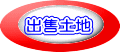 出售土地 